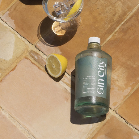 Ginebra Premium GINCITY VALENCIA 70 cl "New Edition"