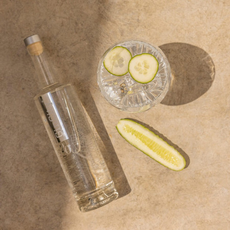 GINCITY OSLO Light Premium 20% Vol. 70 cl