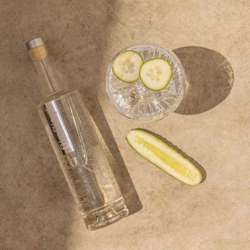 GINCITY OSLO Light Premium 20% Vol. 70 cl