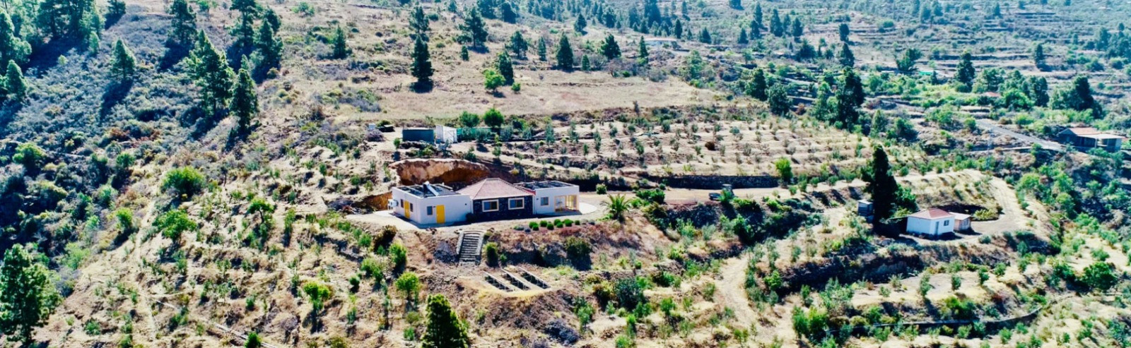 VidaViva